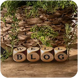 Saphyr Blog